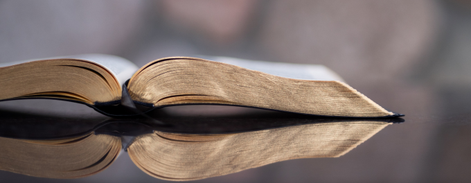 Header Image for Reflection Questions: Sunday August 9